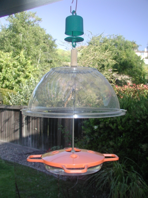 Oriole Feeder with rain shield